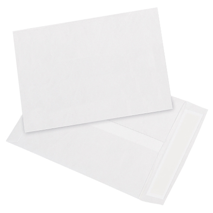 7 <span class='fraction'>1/2</span> x 10 <span class='fraction'>1/2</span>" White Flat Tyvek<span class='rtm'>®</span> Envelopes